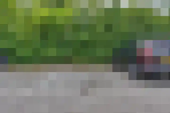 Sleatemar 64 Balk thumbnail 40