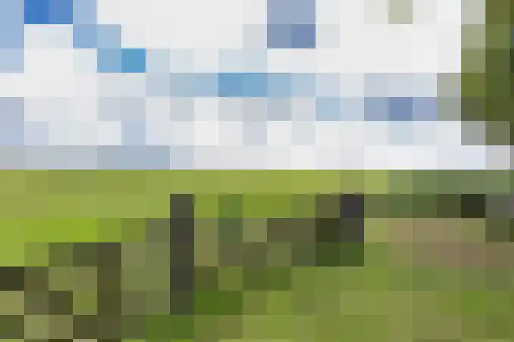 Sleatemar 64 Balk thumbnail 41