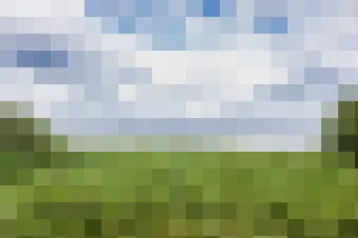 Sleatemar 64 Balk thumbnail 42