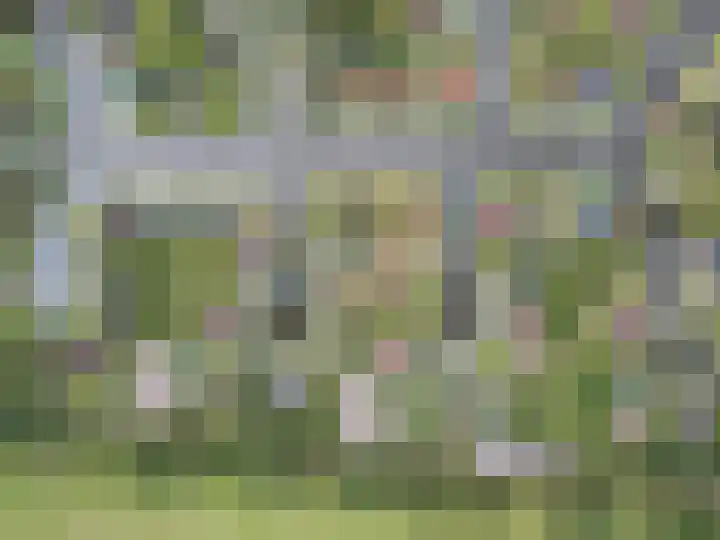 Sleatemar 64 Balk thumbnail 48