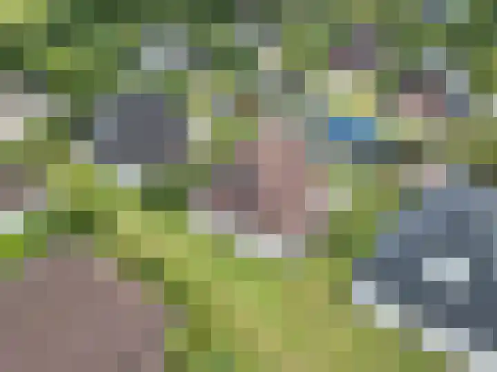 Sleatemar 64 Balk thumbnail 7