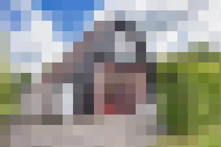 Sleatemar 64 Balk thumbnail 8