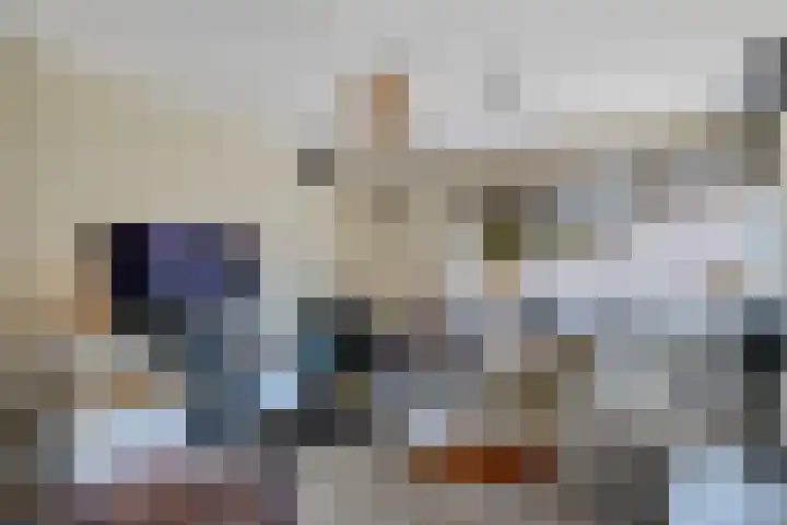 Slechtvalk 34 Emmen thumbnail 10