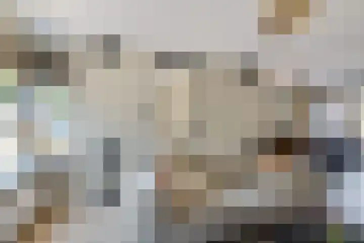 Slechtvalk 34 Emmen thumbnail 12