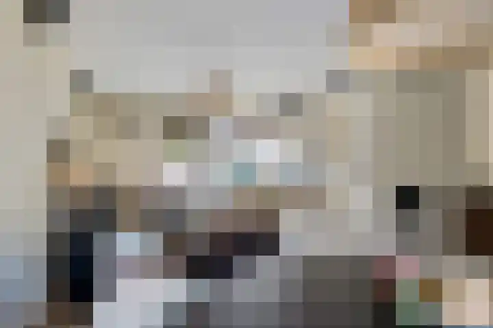 Slechtvalk 34 Emmen thumbnail 14
