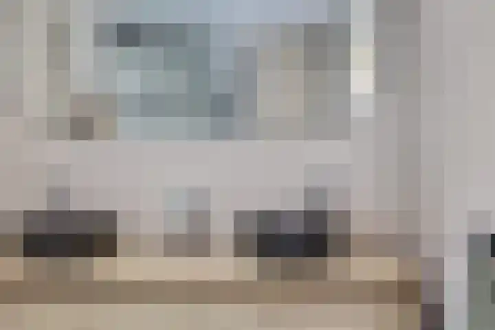 Slechtvalk 34 Emmen thumbnail 21