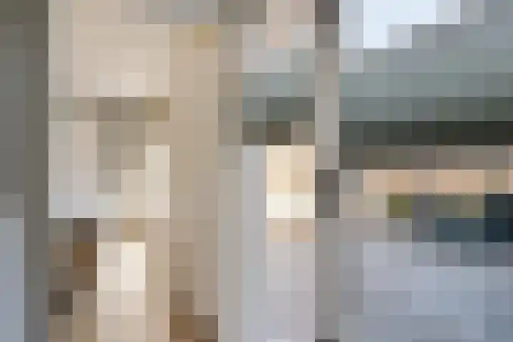Slechtvalk 34 Emmen thumbnail 23