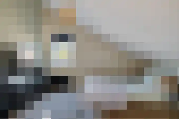 Slechtvalk 34 Emmen thumbnail 31