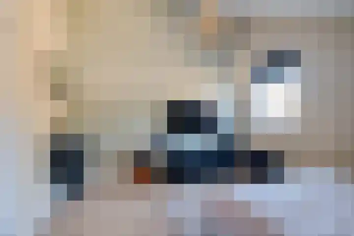 Slechtvalk 34 Emmen thumbnail 32