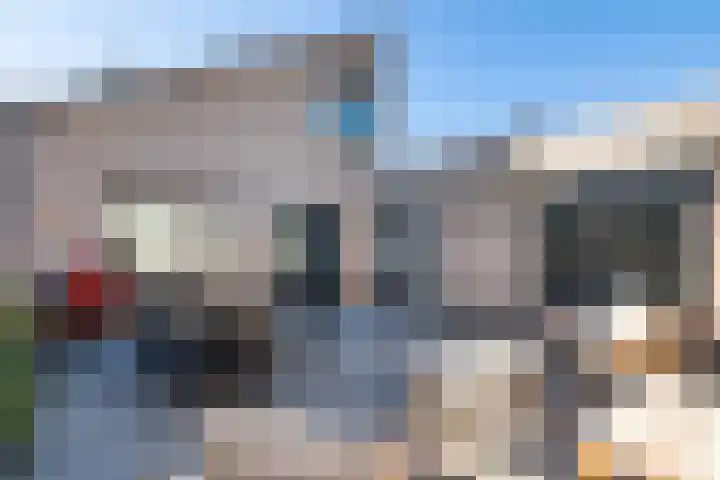 Slechtvalk 34 Emmen thumbnail 34