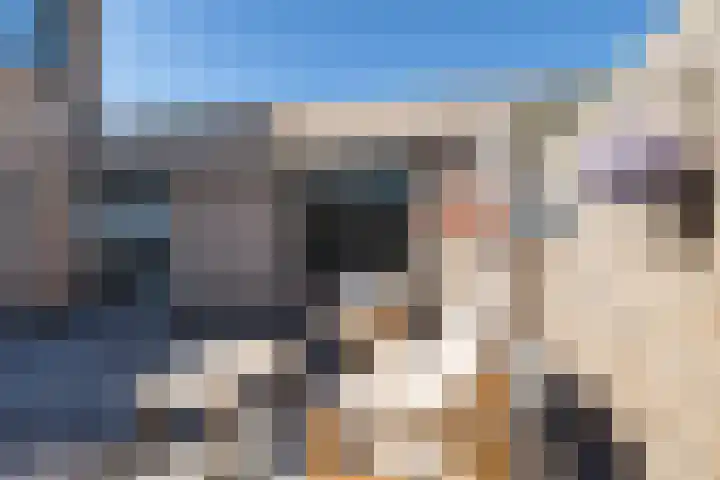 Slechtvalk 34 Emmen thumbnail 35