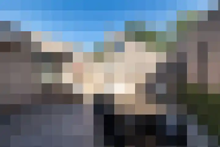Slechtvalk 34 Emmen thumbnail 36