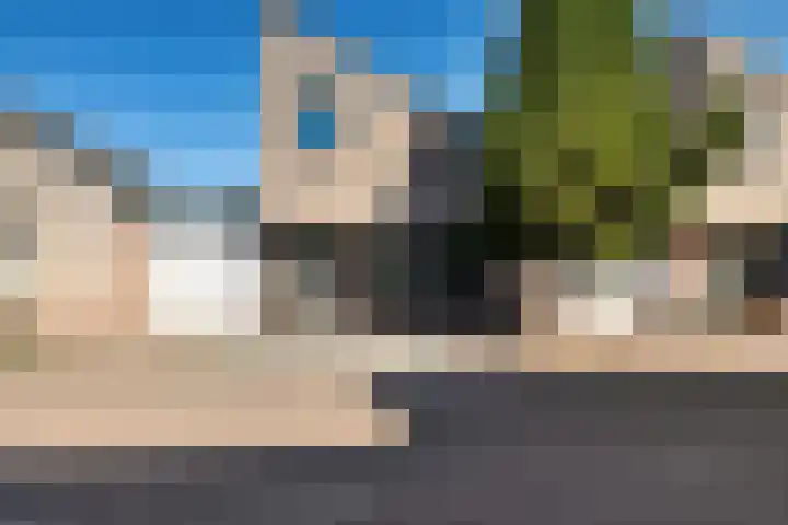 Slechtvalk 34 Emmen thumbnail 4