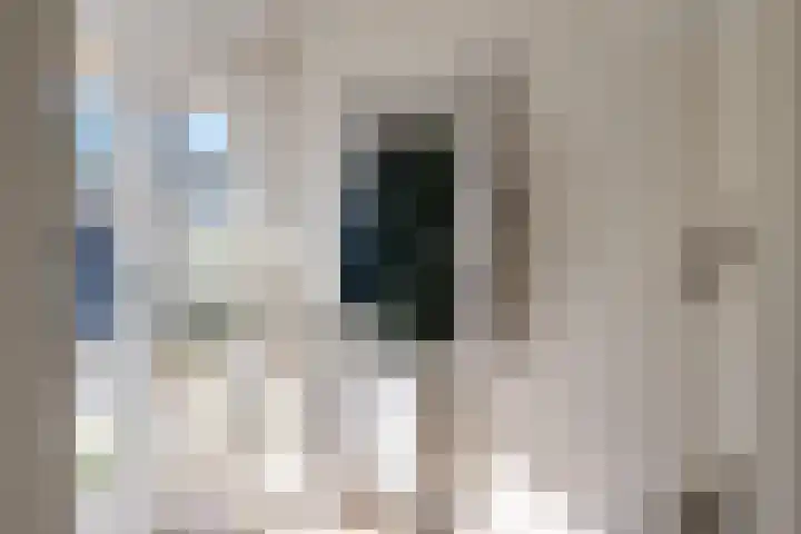 Slechtvalk 34 Emmen thumbnail 6