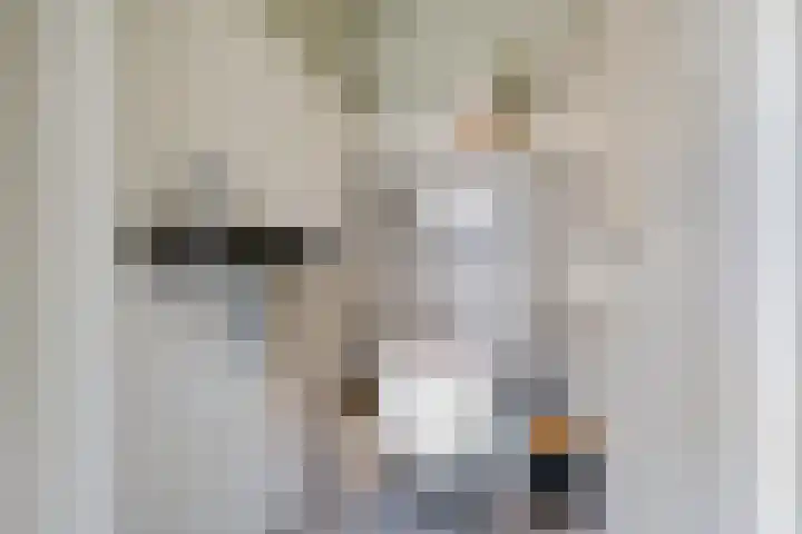Slechtvalk 34 Emmen thumbnail 7