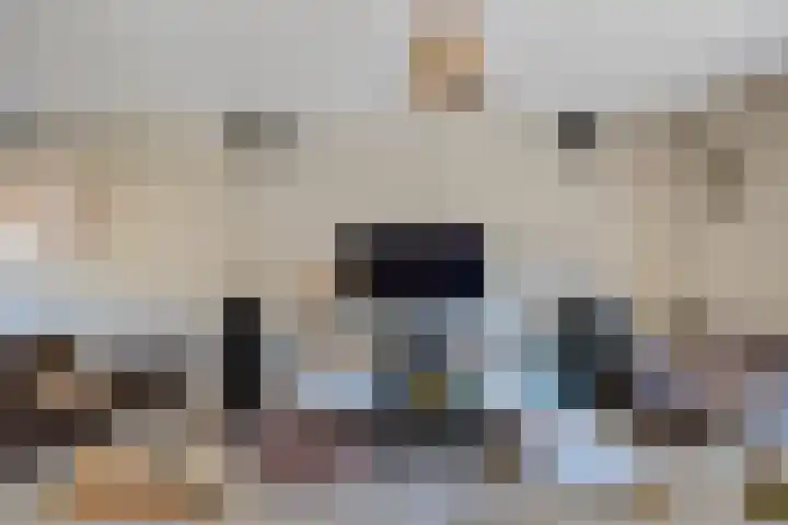 Slechtvalk 34 Emmen thumbnail 9