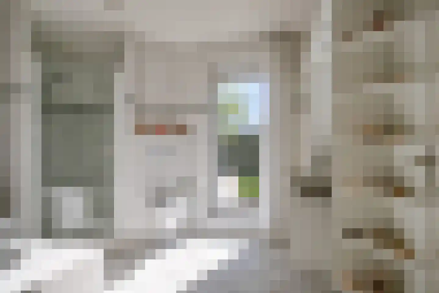 Slechtvalk 5 Valkenswaard thumbnail 26