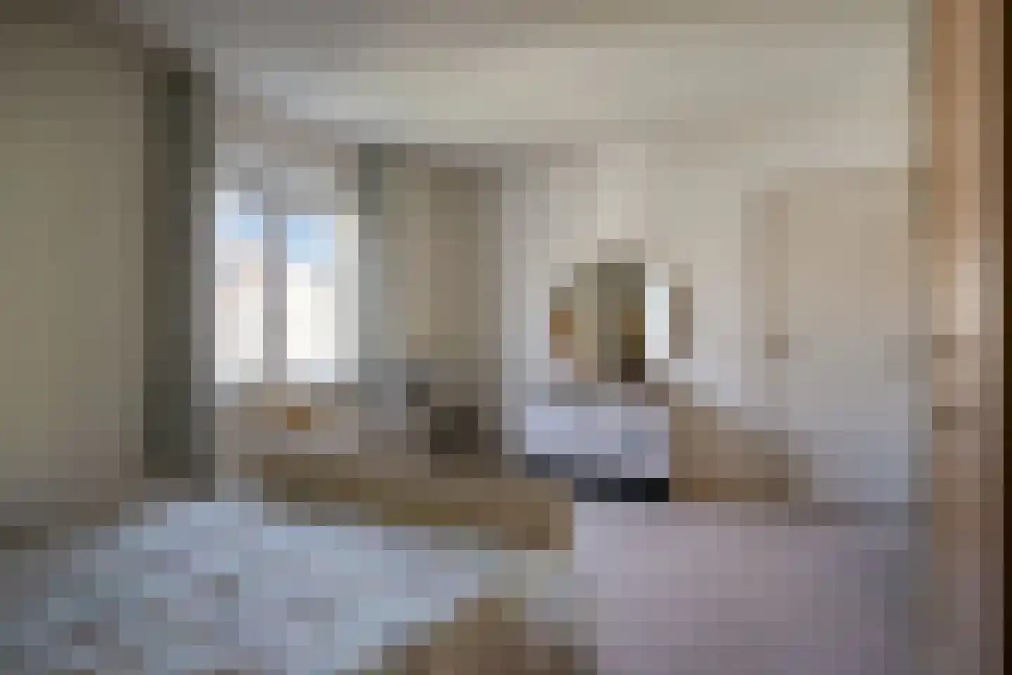 Slechtvalk 5 Valkenswaard thumbnail 30