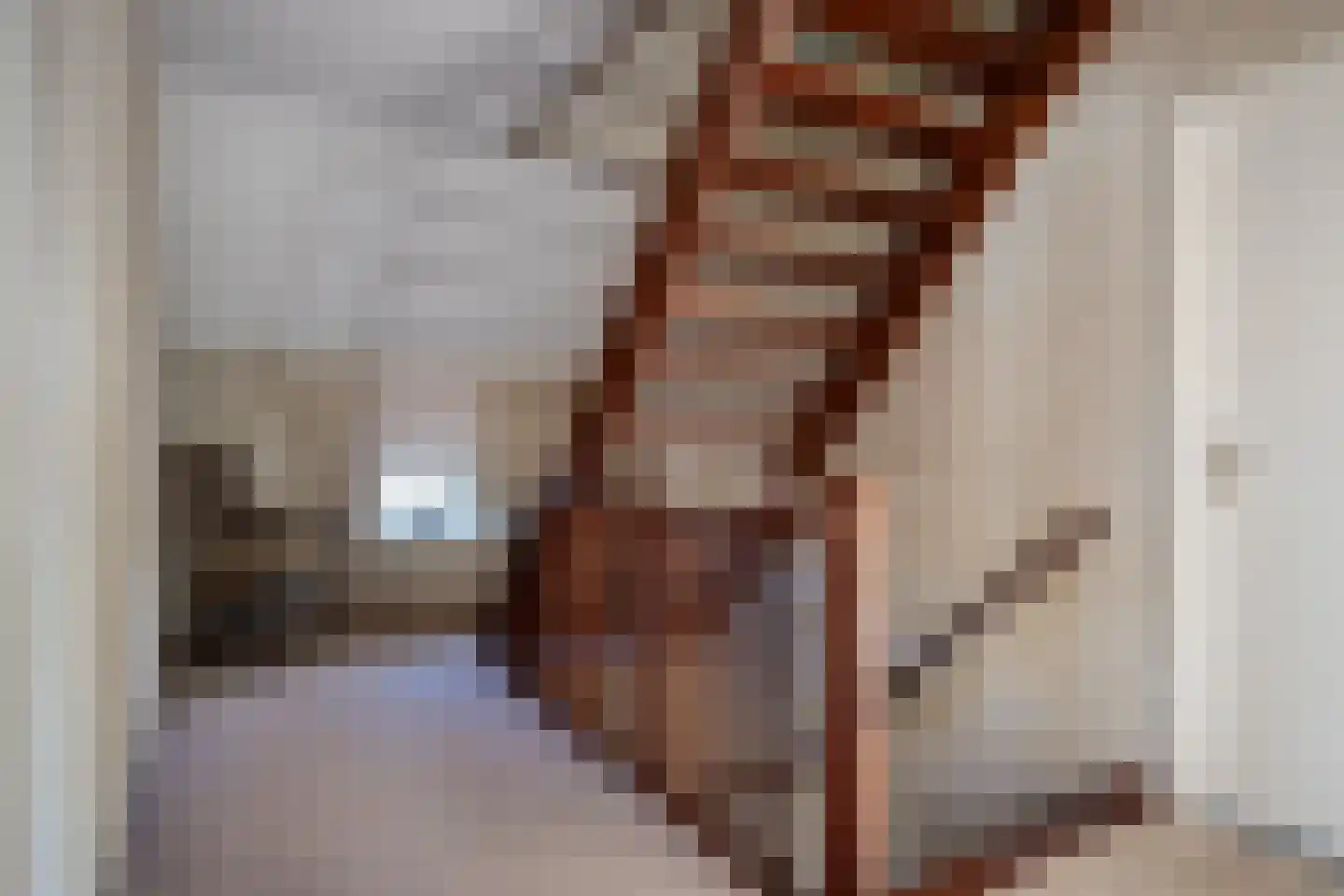 Slechtvalk 5 Valkenswaard thumbnail 33
