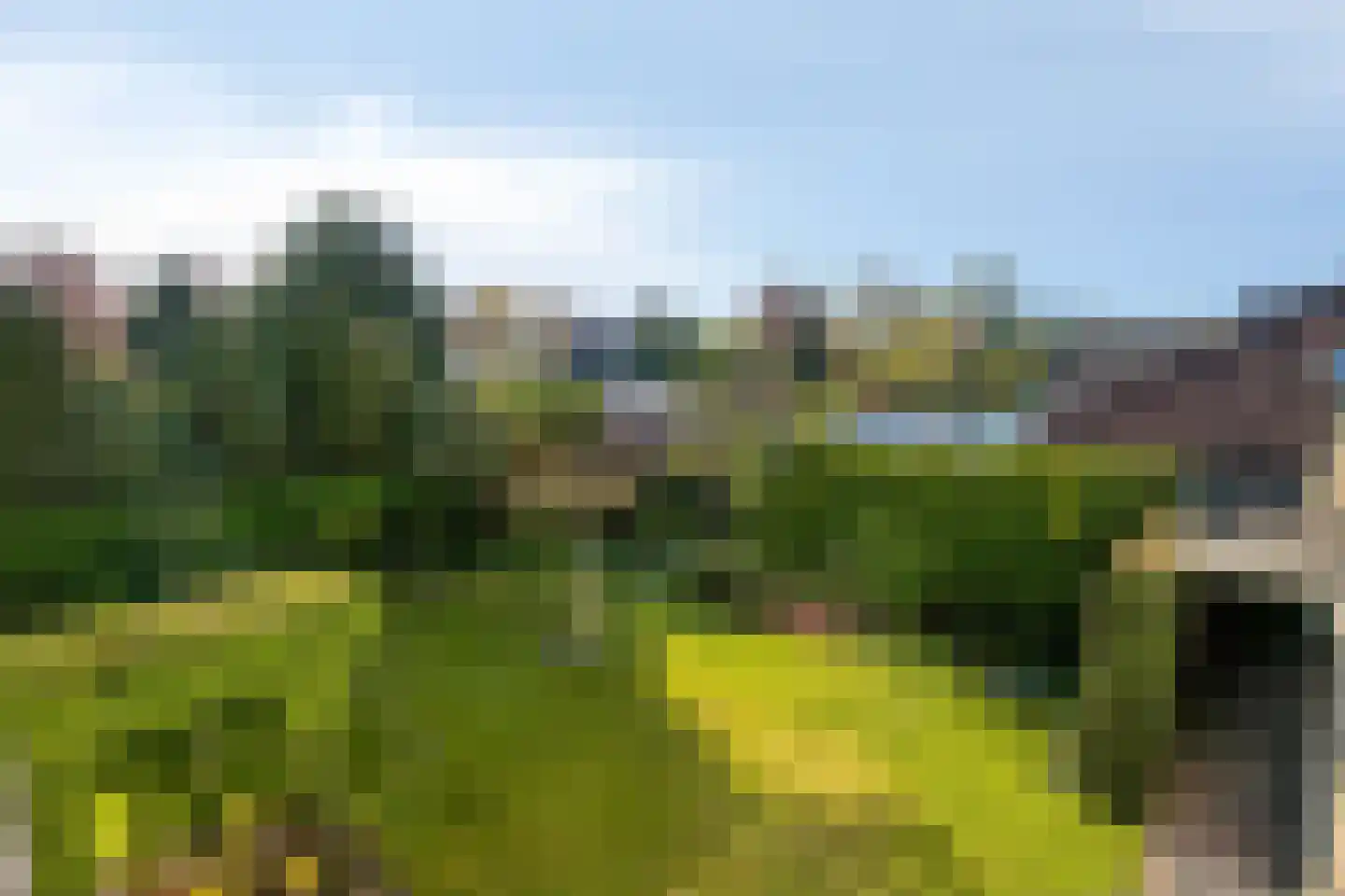 Slechtvalk 5 Valkenswaard thumbnail 36