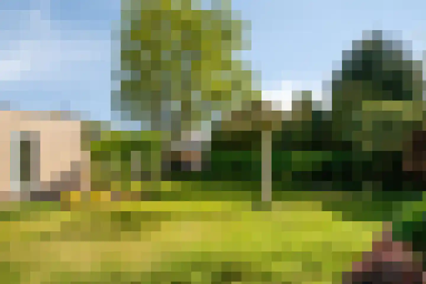Slechtvalk 5 Valkenswaard thumbnail 39