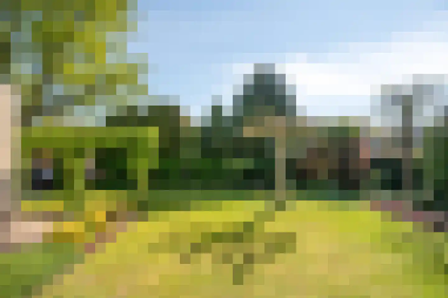 Slechtvalk 5 Valkenswaard thumbnail 40