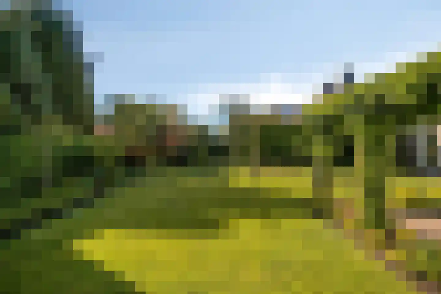 Slechtvalk 5 Valkenswaard thumbnail 42