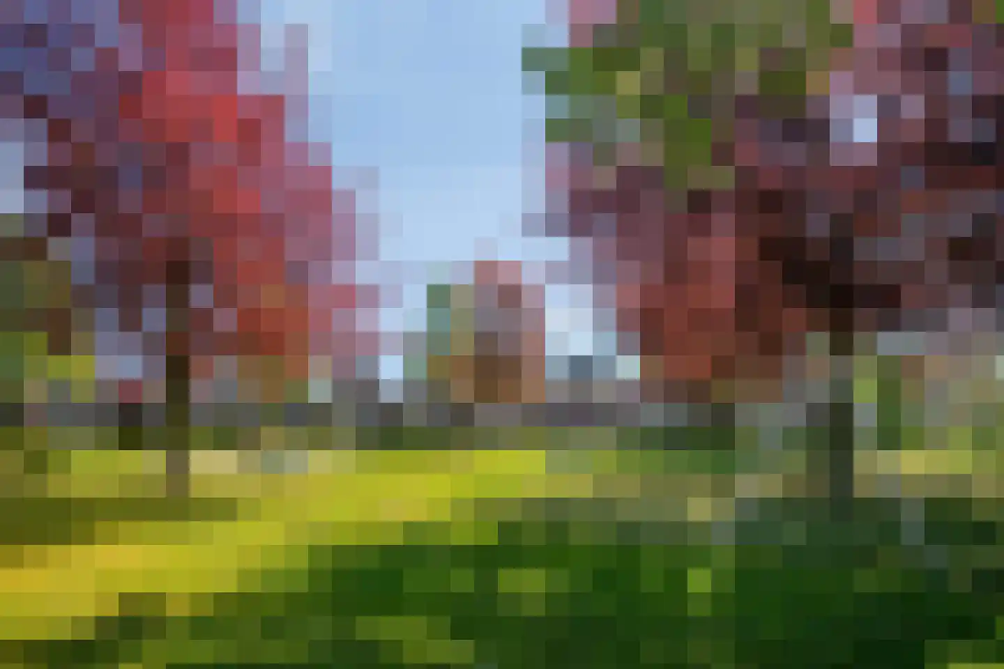 Slechtvalk 5 Valkenswaard thumbnail 46