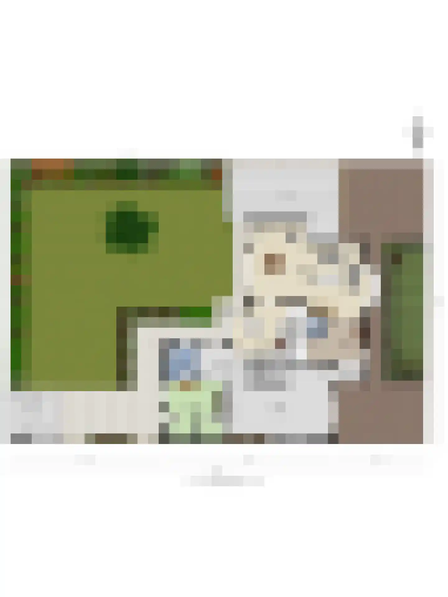 Slechtvalk 5 Valkenswaard thumbnail 50