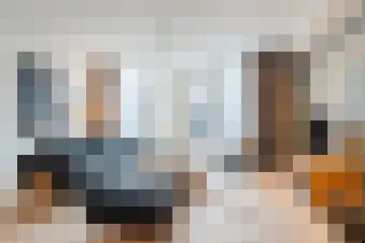 Slechtvalk 6 Valkenburg thumbnail 12