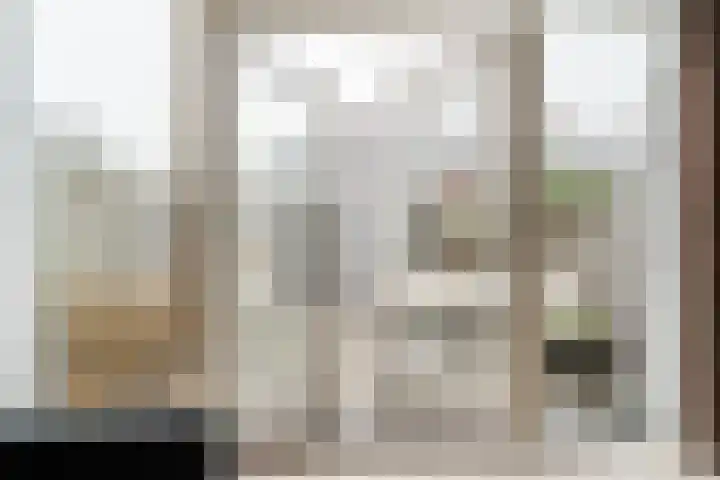 Slechtvalk 6 Valkenburg thumbnail 13