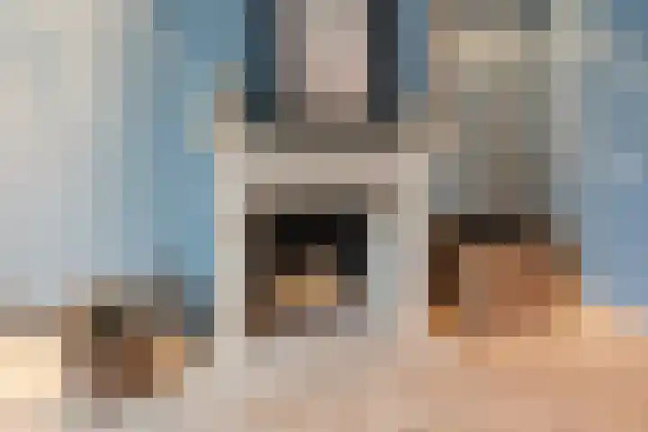 Slechtvalk 6 Valkenburg thumbnail 16