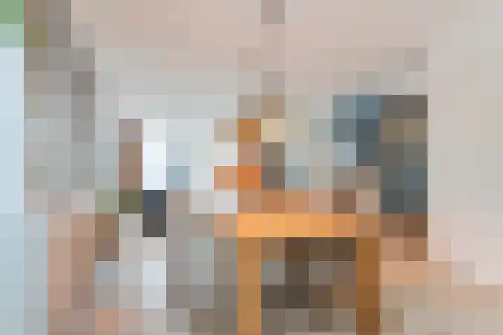 Slechtvalk 6 Valkenburg thumbnail 18