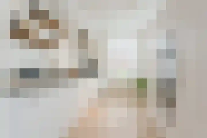 Slechtvalk 6 Valkenburg thumbnail 20