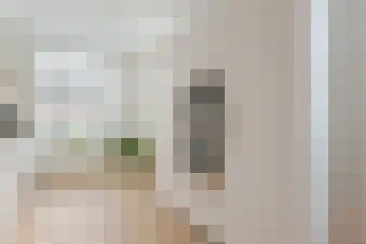 Slechtvalk 6 Valkenburg thumbnail 21
