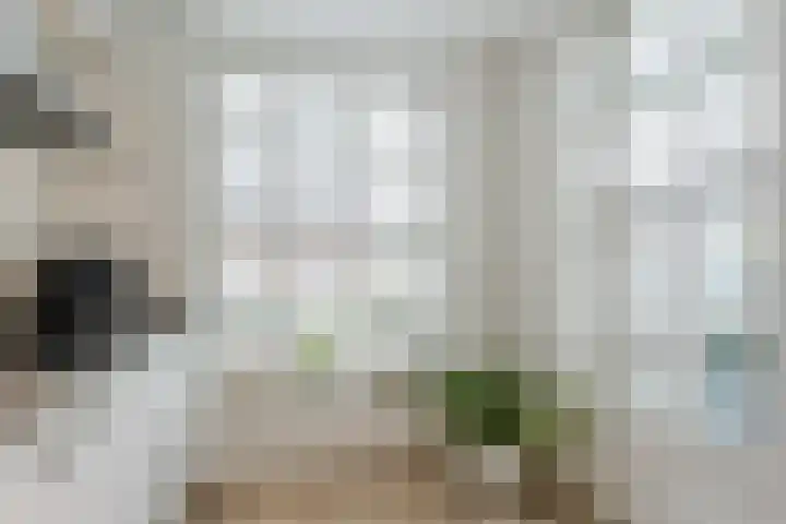 Slechtvalk 6 Valkenburg thumbnail 22