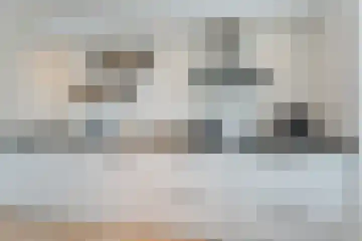 Slechtvalk 6 Valkenburg thumbnail 23