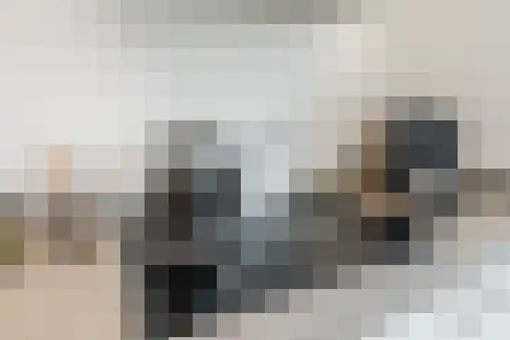 Slechtvalk 6 Valkenburg thumbnail 24