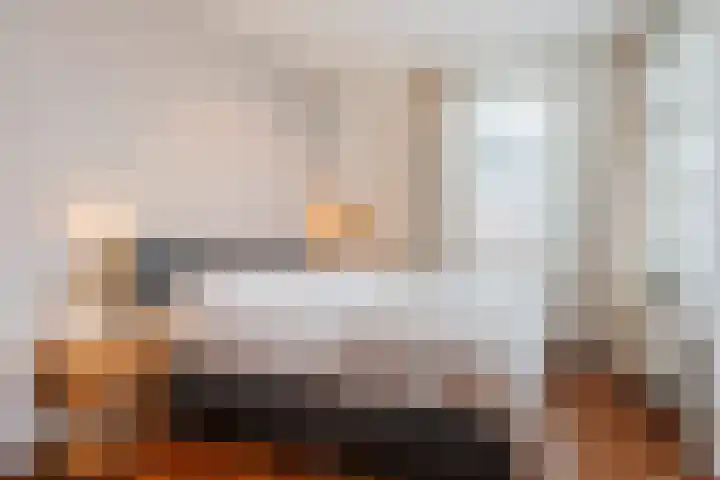 Slechtvalk 6 Valkenburg thumbnail 28