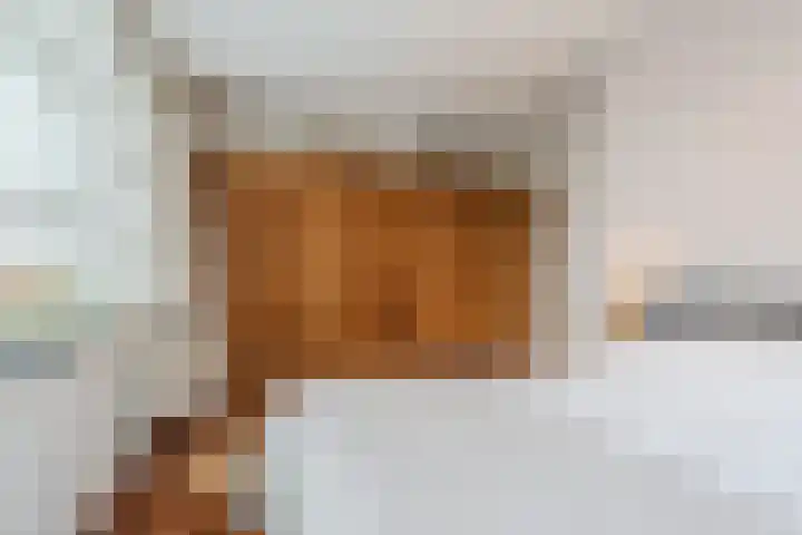 Slechtvalk 6 Valkenburg thumbnail 30