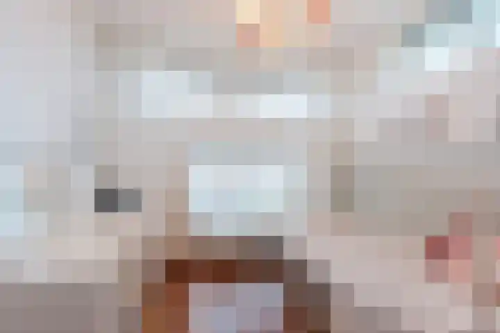 Slechtvalk 6 Valkenburg thumbnail 31