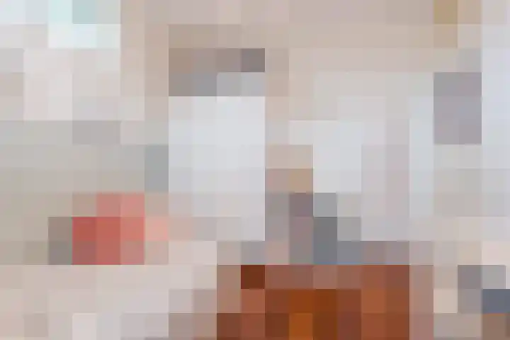 Slechtvalk 6 Valkenburg thumbnail 32