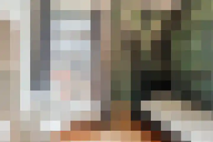Slechtvalk 6 Valkenburg thumbnail 33