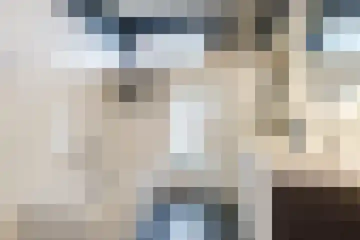 Slechtvalk 6 Valkenburg thumbnail 35