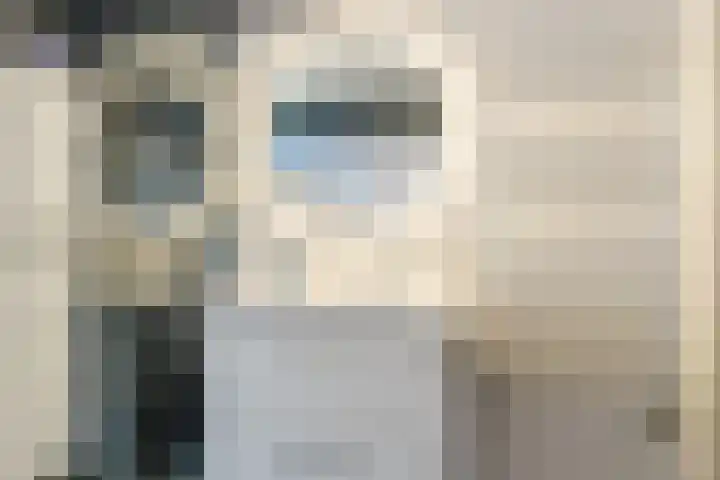 Slechtvalk 6 Valkenburg thumbnail 36