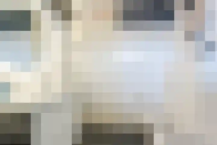Slechtvalk 6 Valkenburg thumbnail 37