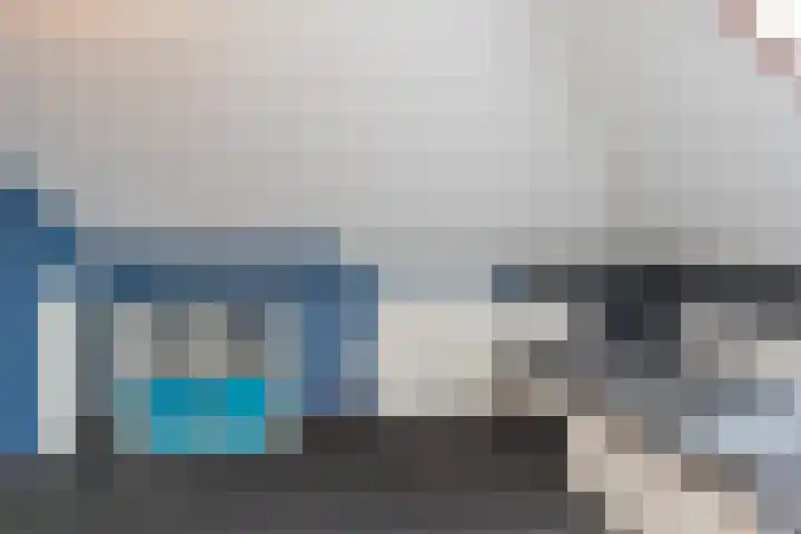 Slechtvalk 6 Valkenburg thumbnail 39