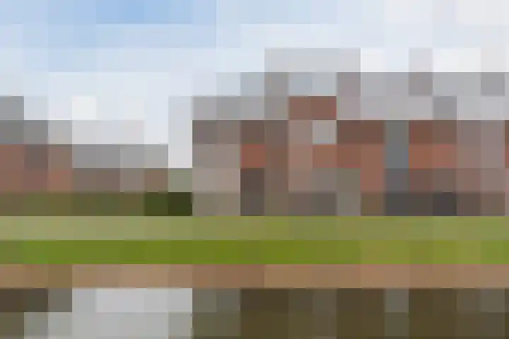Slechtvalk 6 Valkenburg thumbnail 4