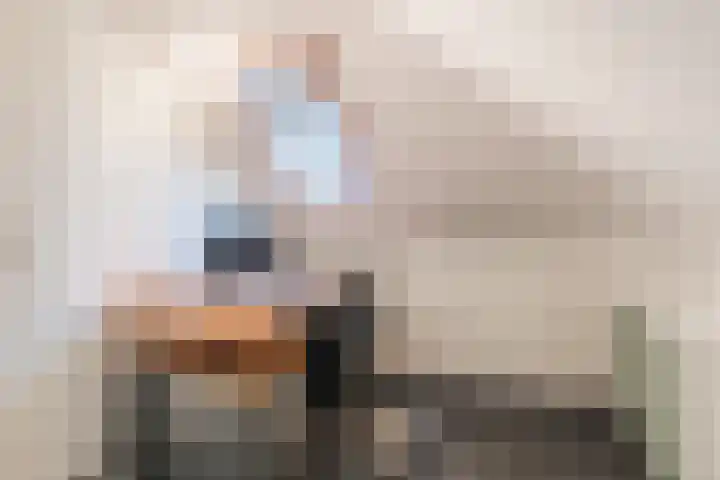 Slechtvalk 6 Valkenburg thumbnail 43