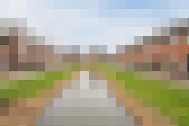 Slechtvalk 6 Valkenburg thumbnail 5
